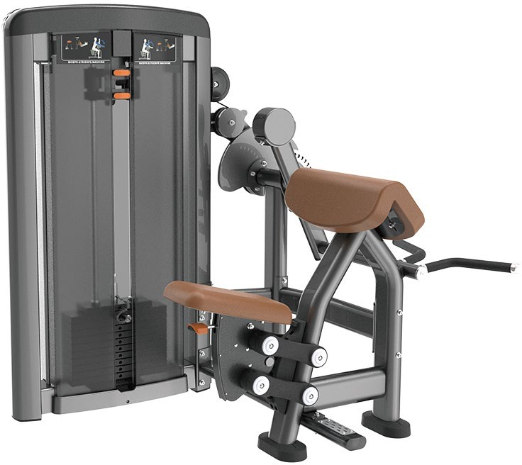 SN0506 Biceps & Triceps Machine